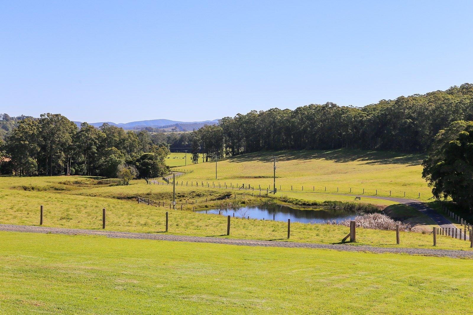 308 Mill Creek Road, Stroud NSW 2425, Image 1