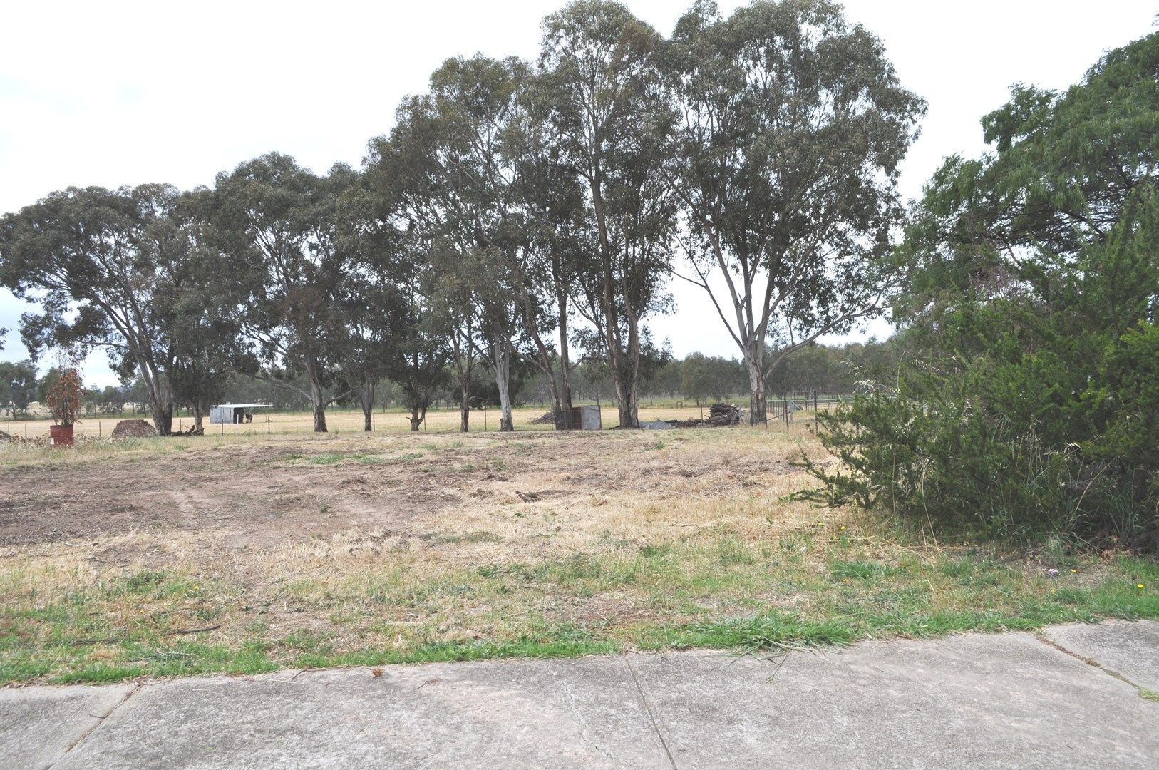 Lot 67 Pinkstone Avenue, Cootamundra NSW 2590, Image 0