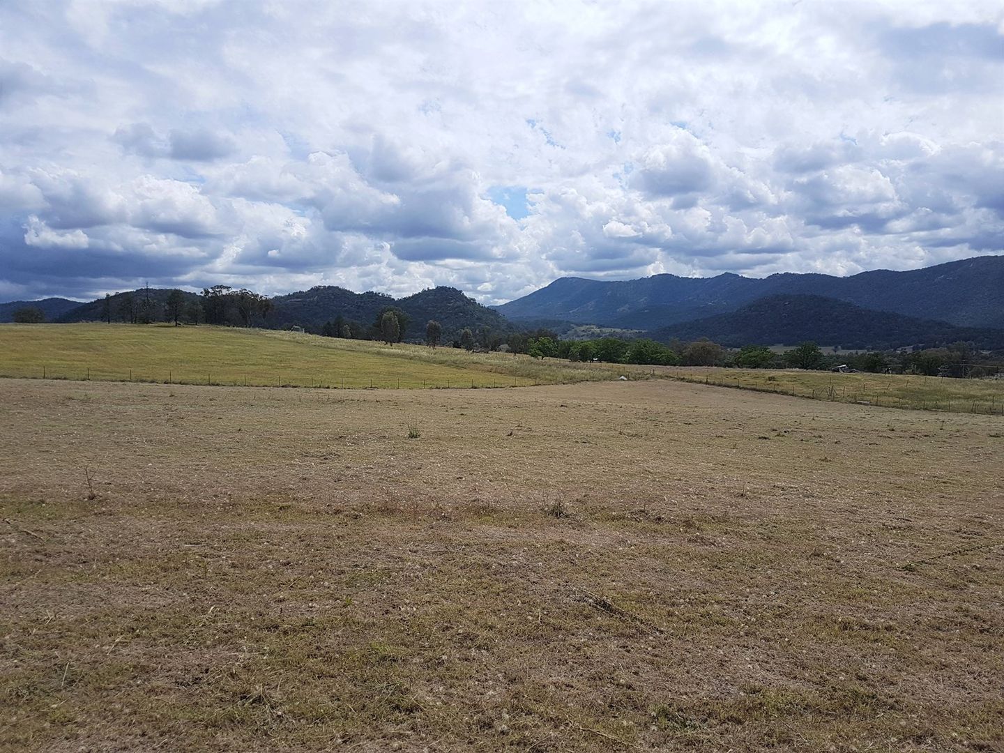 LOT 8 MOONBI HEIGHTS, MOONBI, Kootingal NSW 2352, Image 1