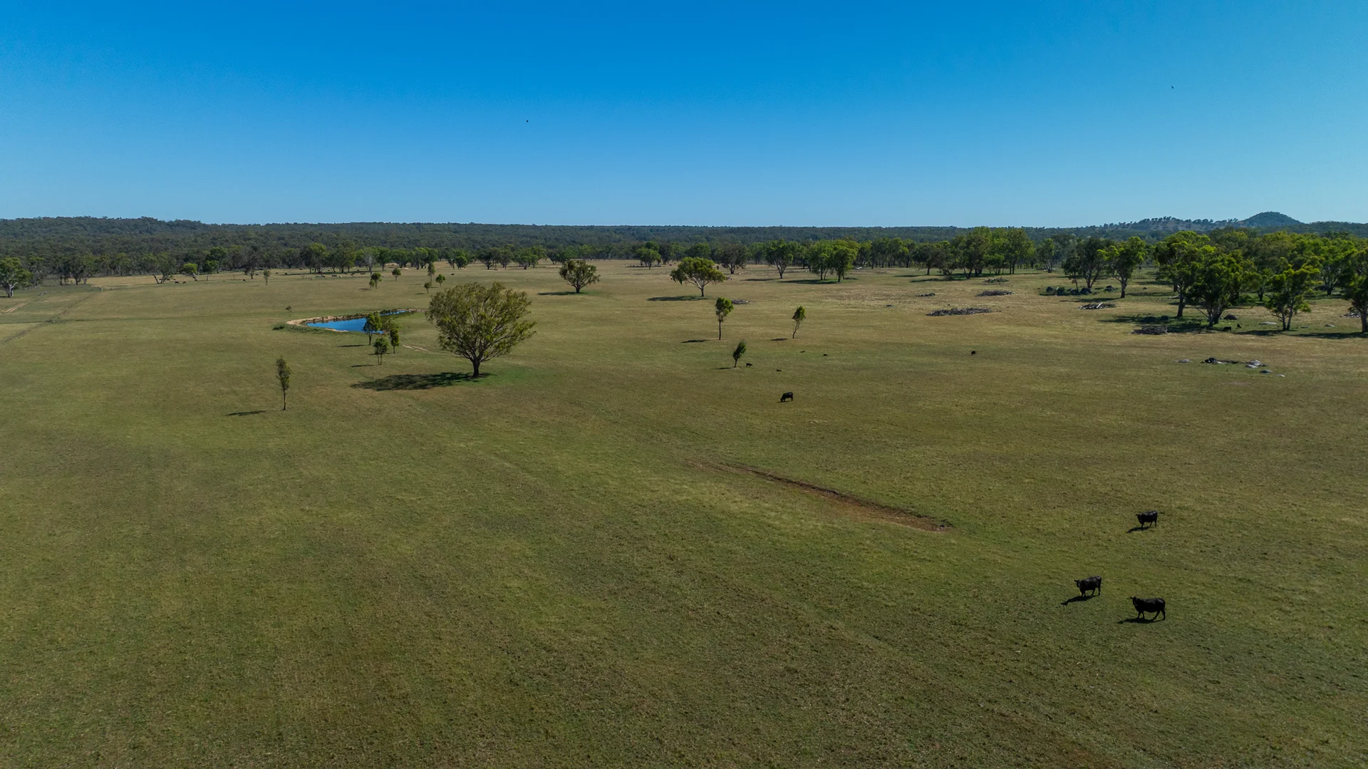 Additional image 31 of Inverell NSW 2360