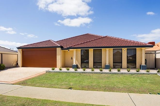 Picture of 60 Balboa Loop, AUBIN GROVE WA 6164