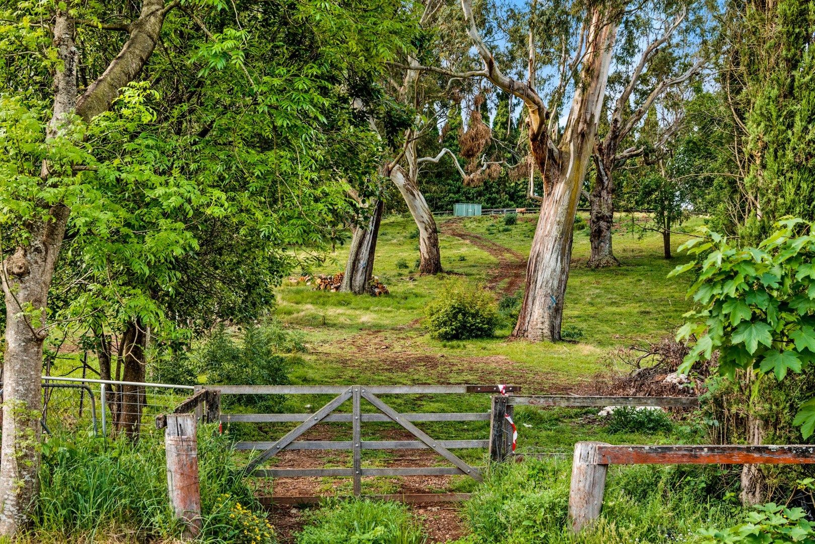 1/70 Middle Road, Exeter NSW 2579, Image 0