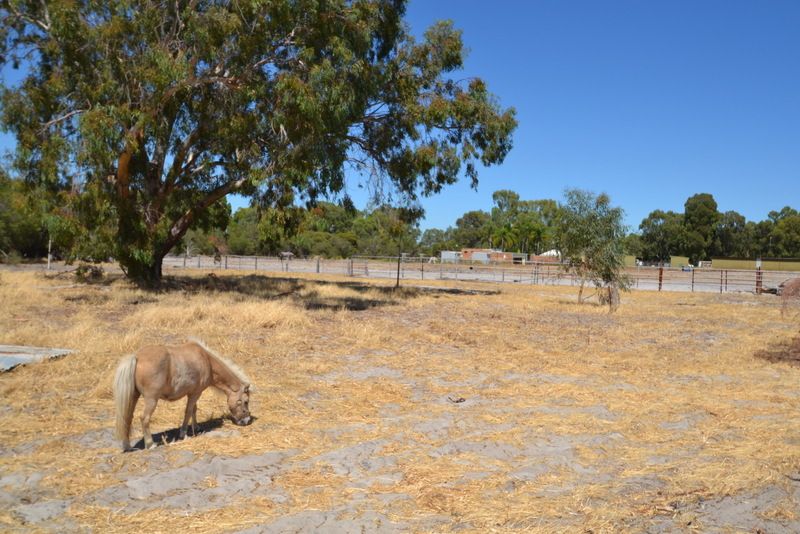 36 Craghill Way, Oakford WA 6121, Image 0