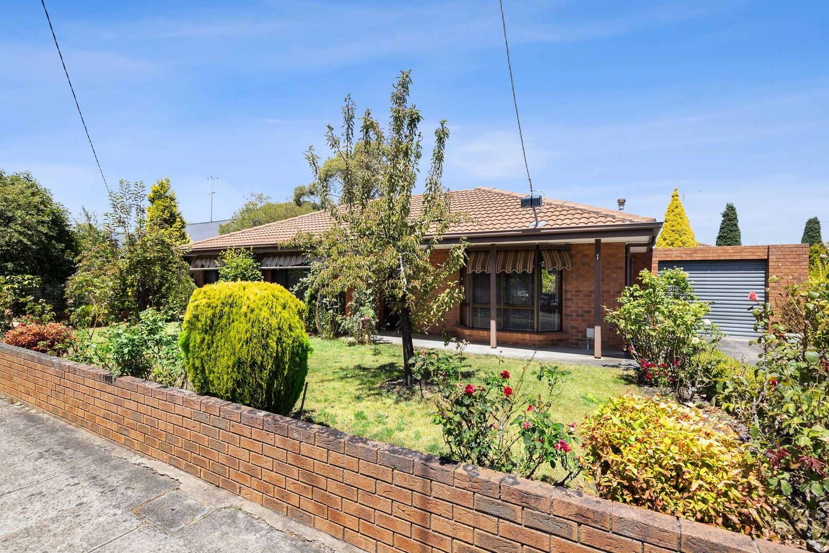 1/507 Howitt Street, Soldiers Hill VIC 3350, Image 0