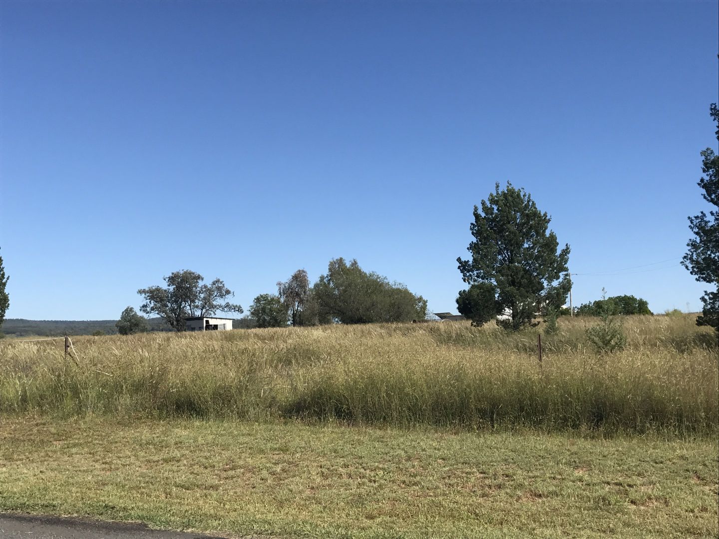 Sold 1 View Street, Warialda Rail NSW 2402 on 23 Aug 2017 2013511364