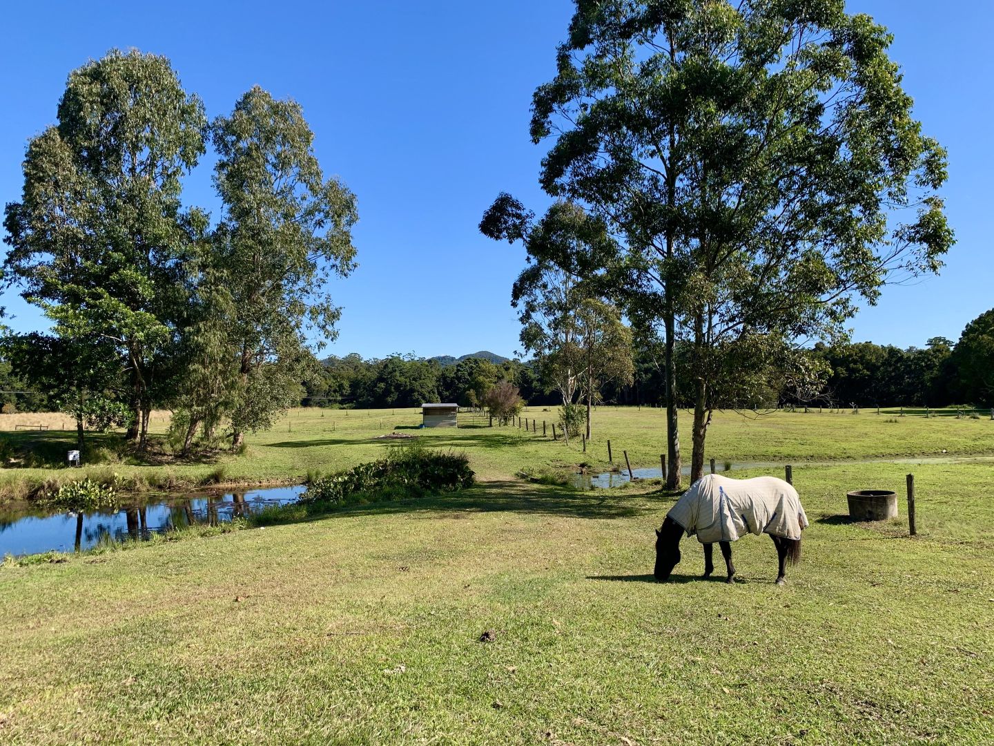 92 Seib Rd, Eumundi QLD 4562, Image 2