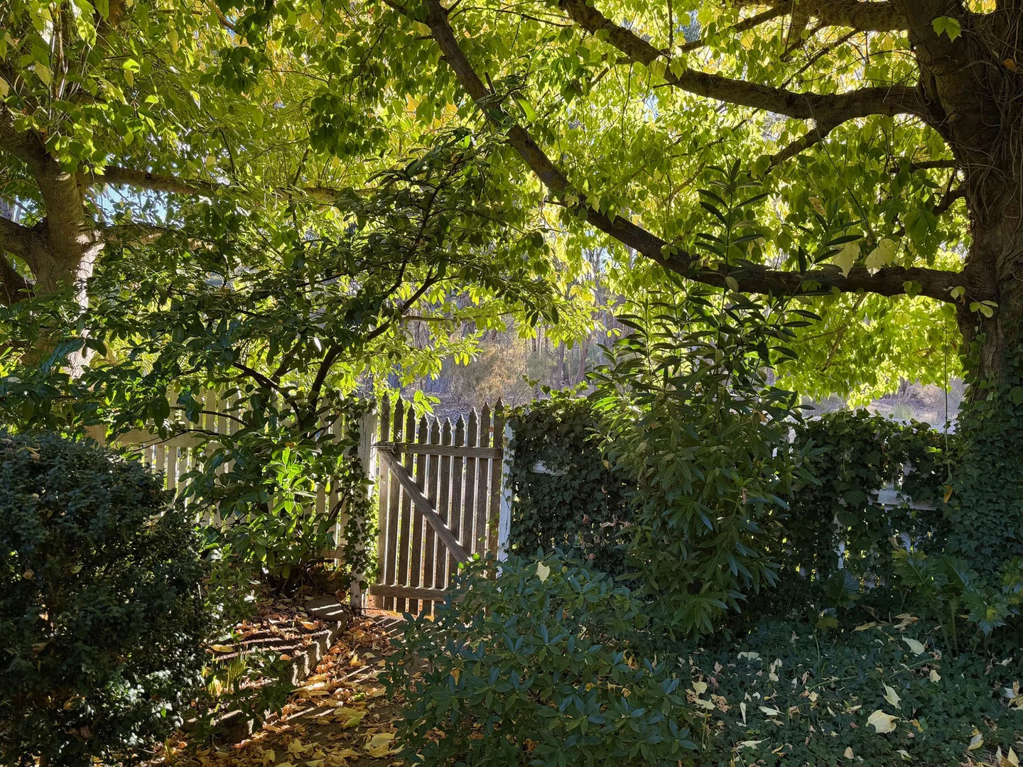 Additional image 23 of 180 Golden Point Road, Golden Point VIC 3451