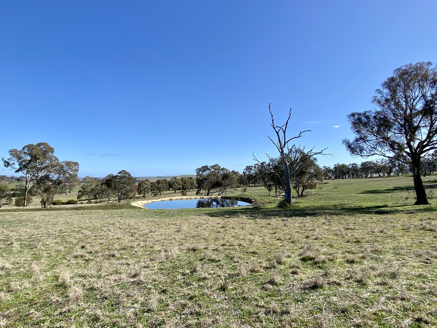 Lot 121, 1488 Mutton Falls Rd, O'Connell NSW 2795, Image 0
