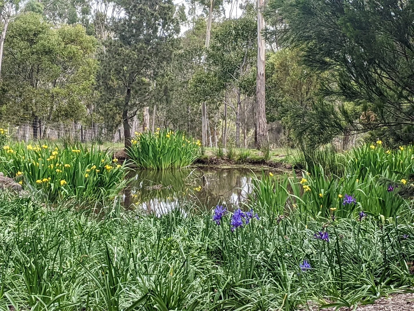Image 23