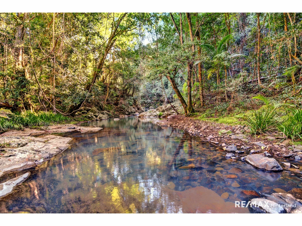 Additional image 13 of 211 Bridge Creek Road, Maleny QLD 4552