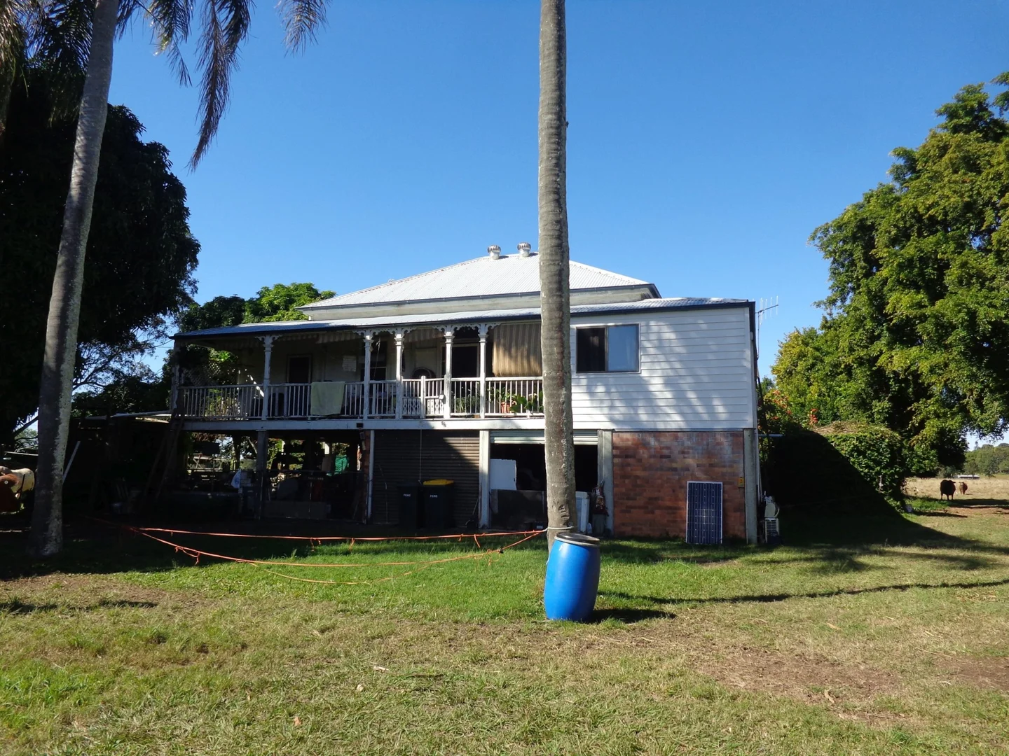 Image 11