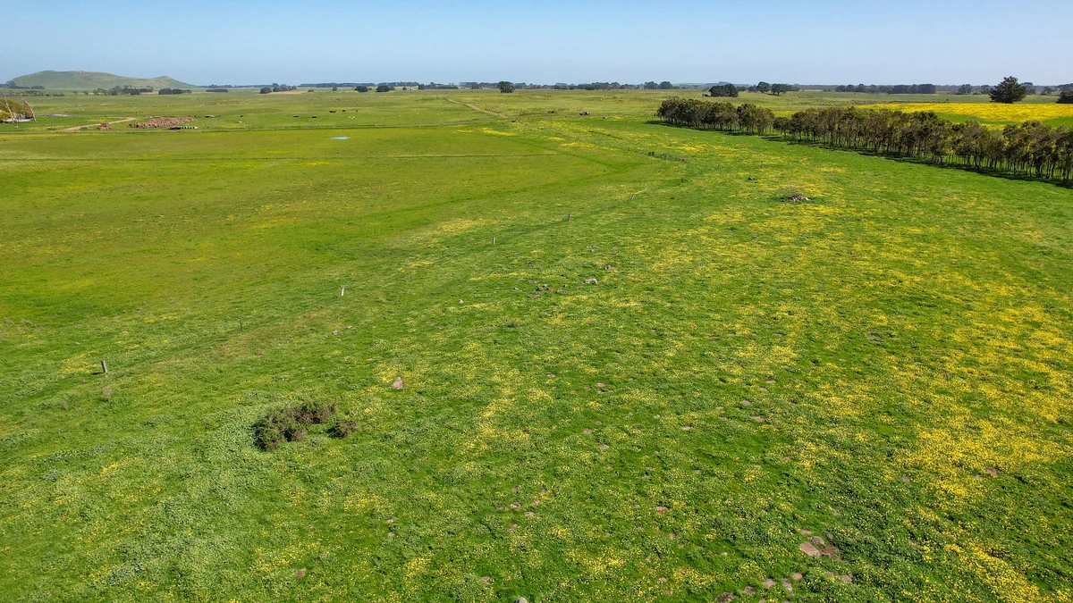 Additional image 38 of 170 Allans Road, Framlingham VIC 3265