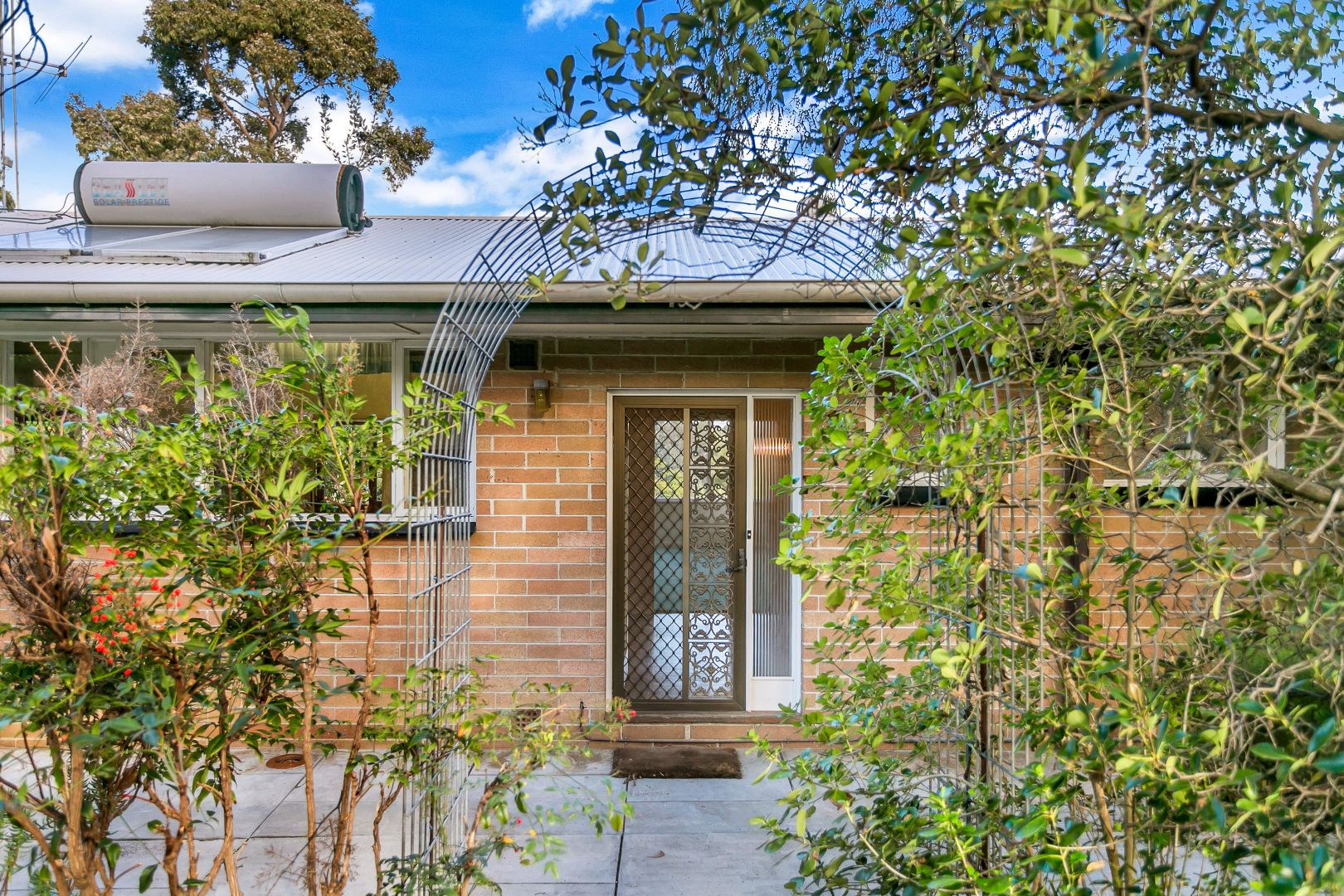 11 Alison Avenue, Blackwood SA 5051, Image 1