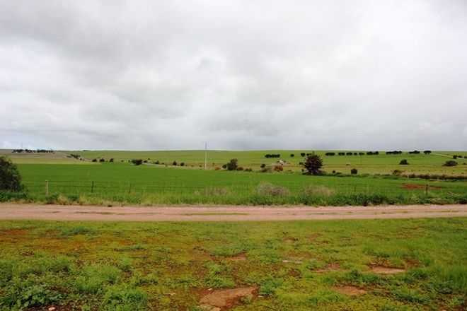 Picture of Lot 169 South Terrace, CURRAMULKA SA 5580