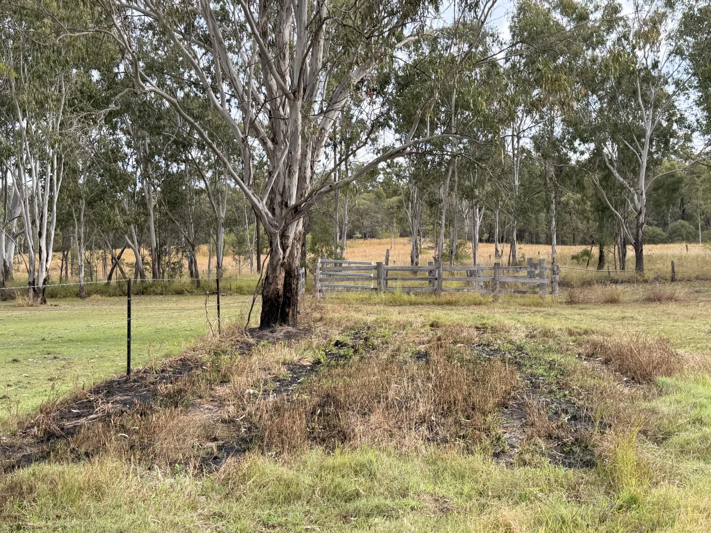 Image 13