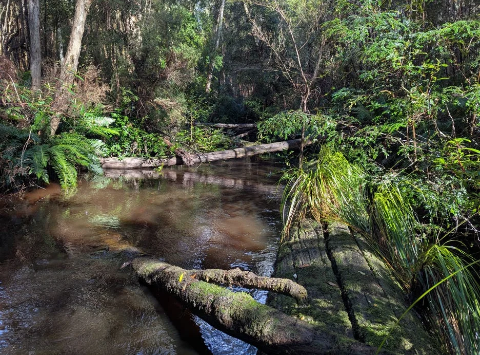 Image 12