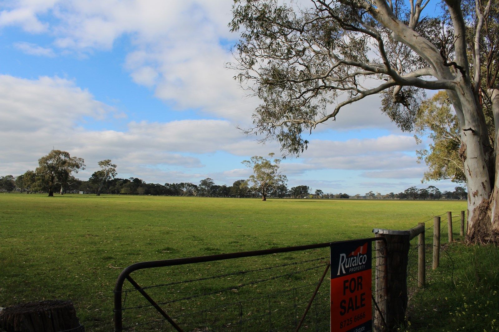 809 Cemetery Road, Kalangadoo SA 5278, Image 1