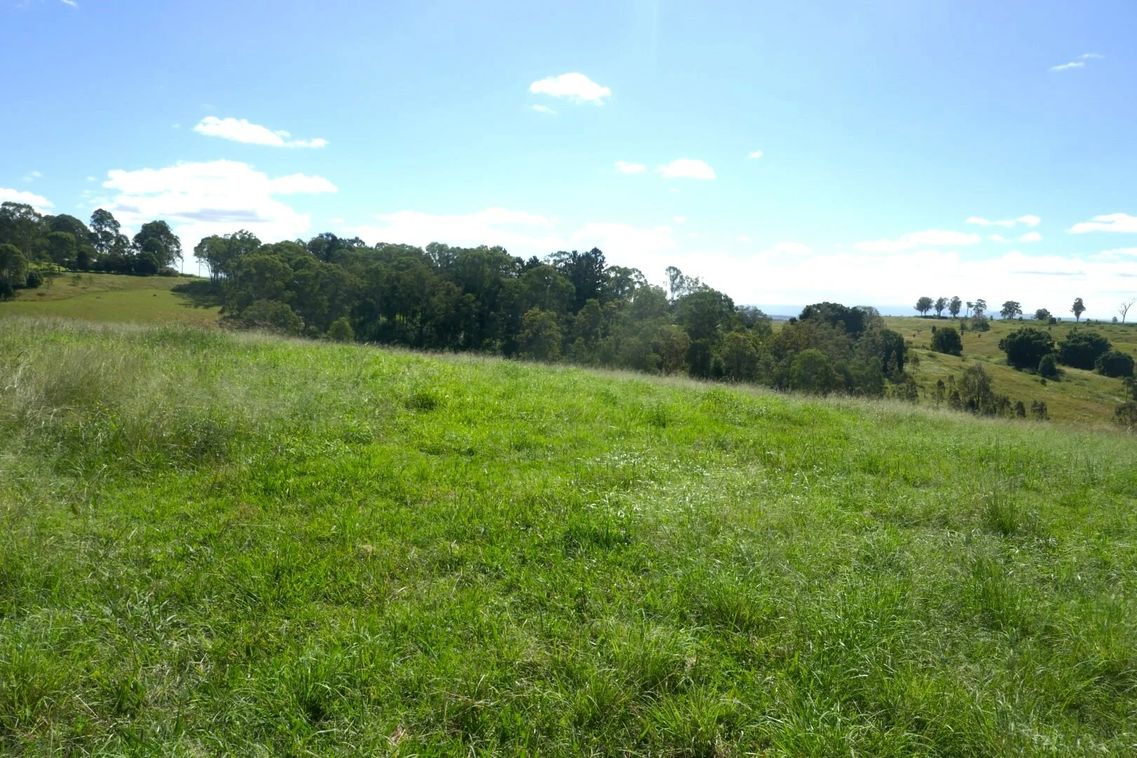 Image 15