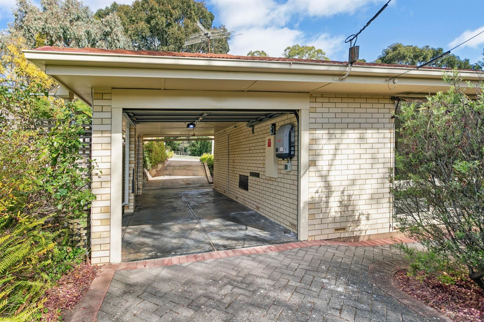 10 Patricia Street, Coromandel Valley SA 5051 Domain