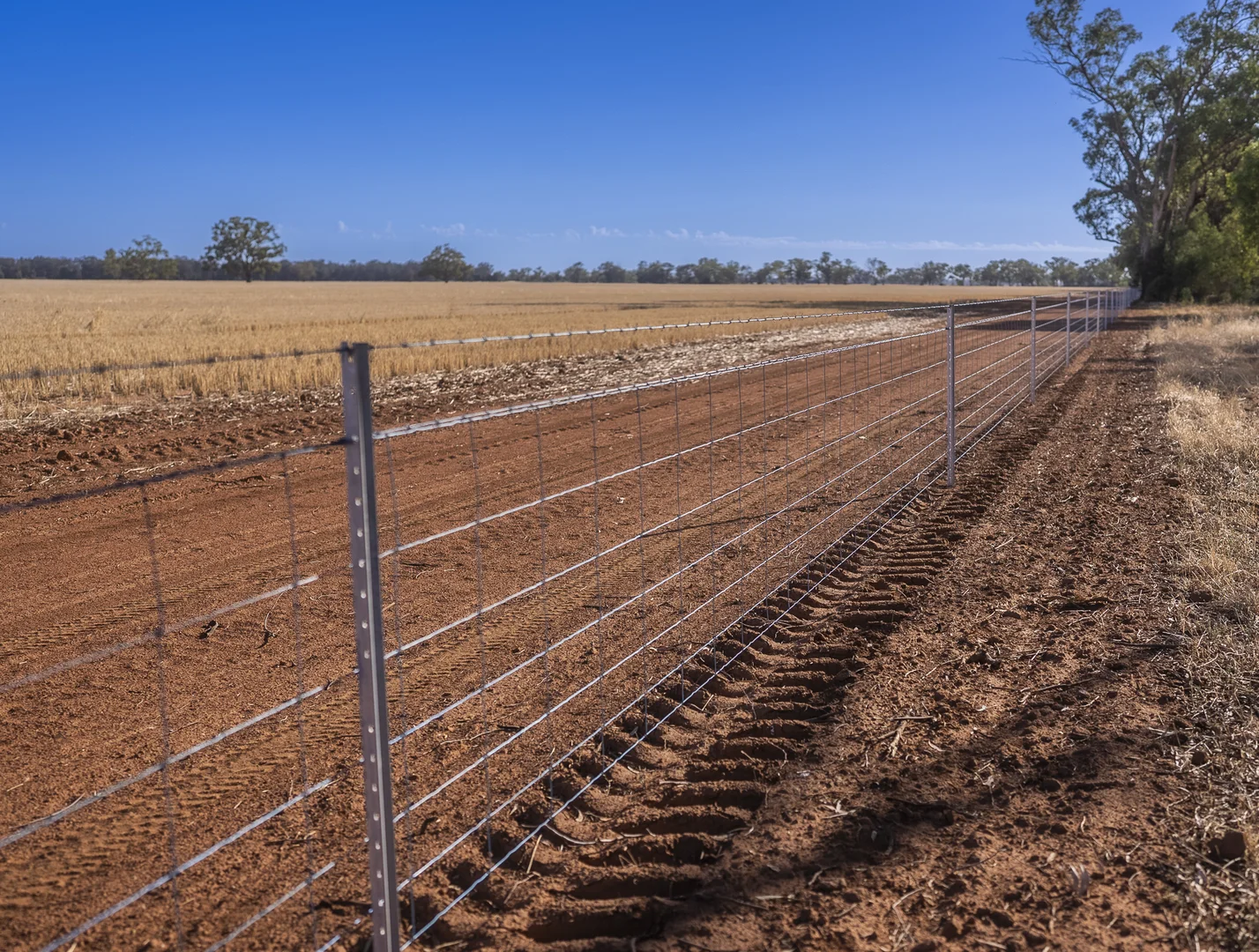 Additional image 10 of 1048 Wyanga Road, Narromine NSW 2821