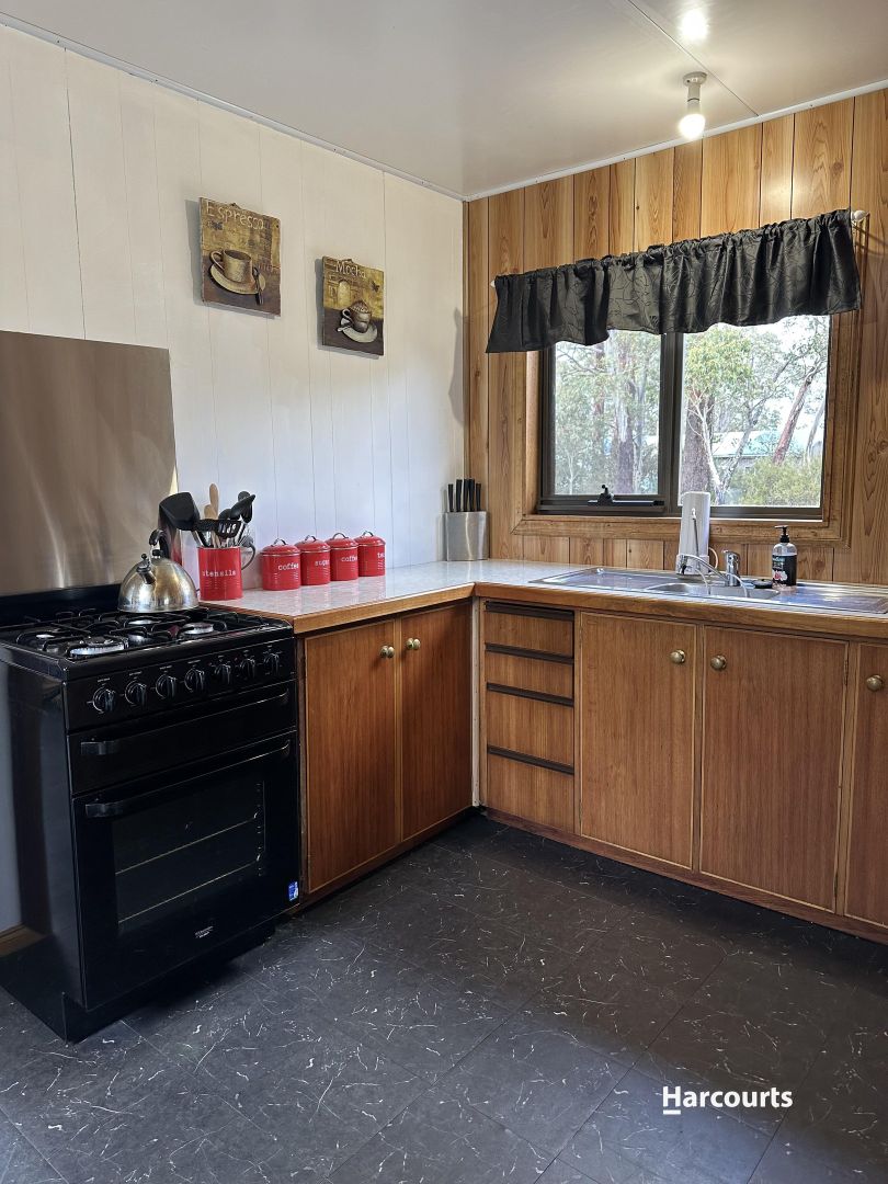 43 Wallace Road, Doctors Point TAS 7304, Image 1