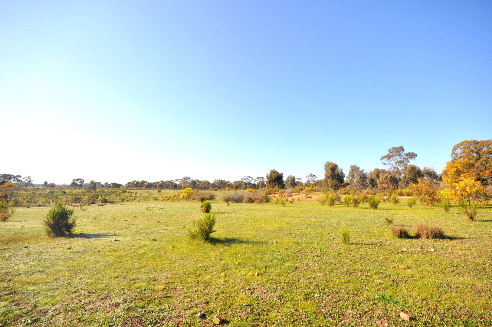 31 Gloury Road, Dunolly VIC 3472, Image 1