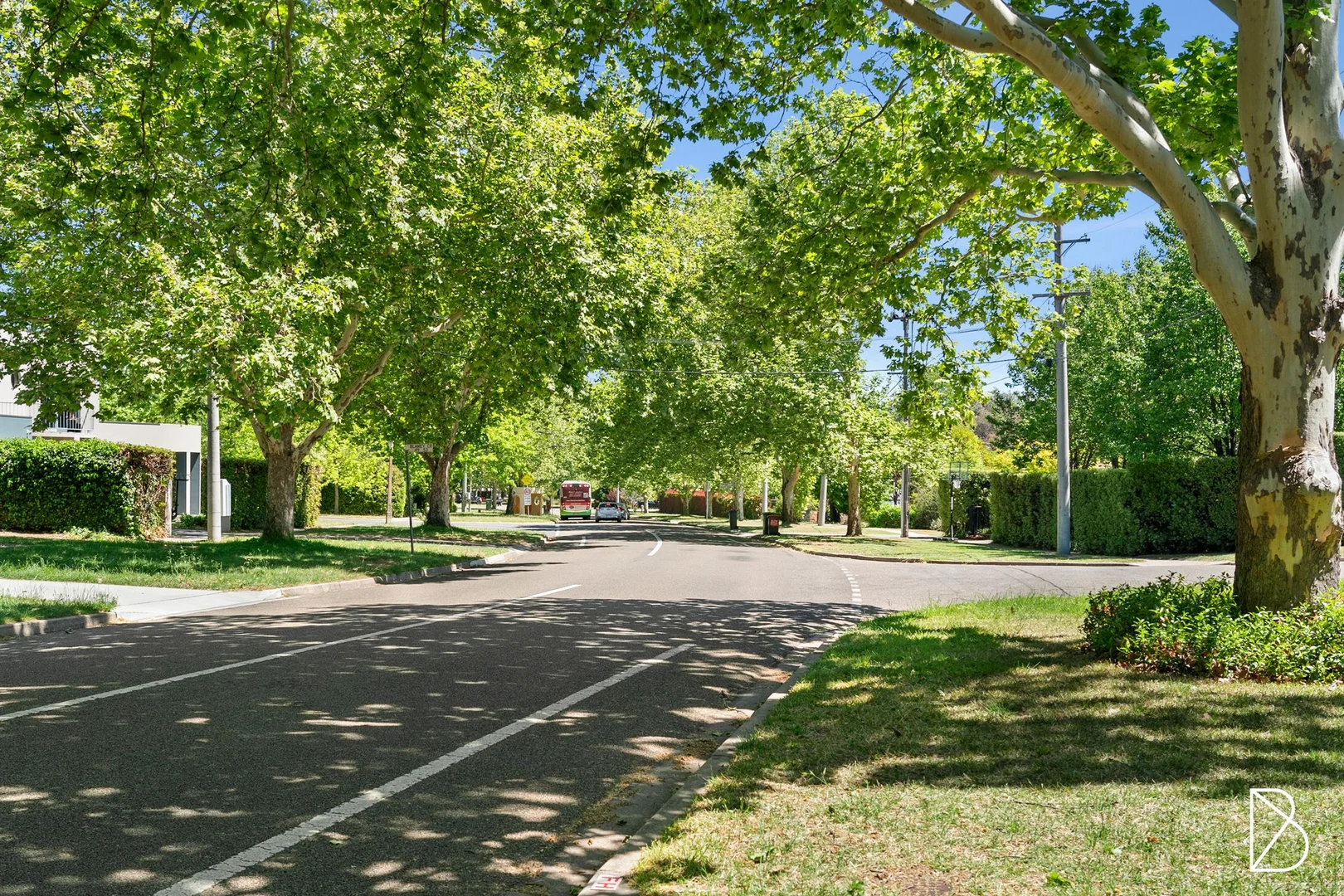 Image 21