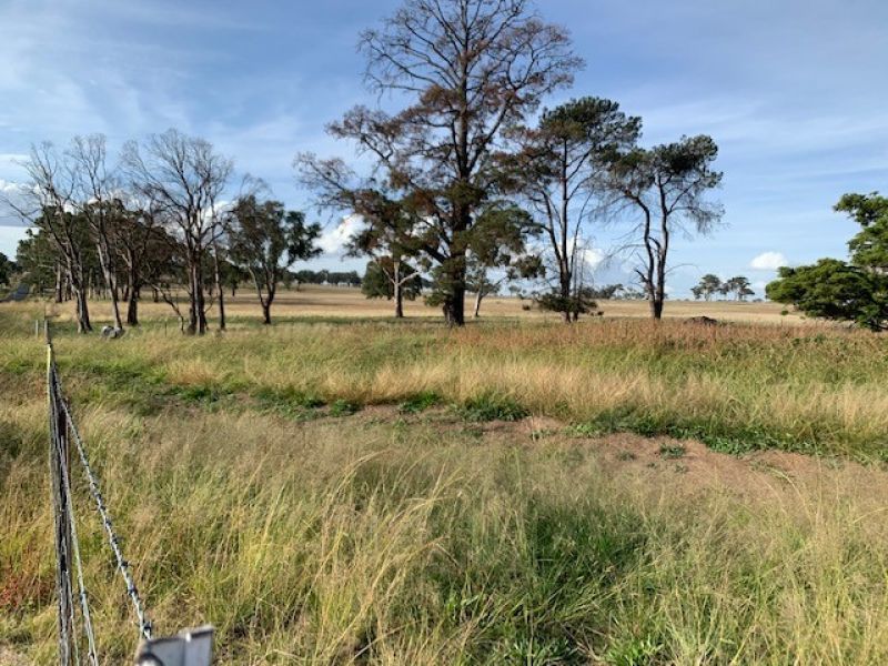 Lot 1 Mount Butler Road, Invergowrie NSW 2350, Image 1