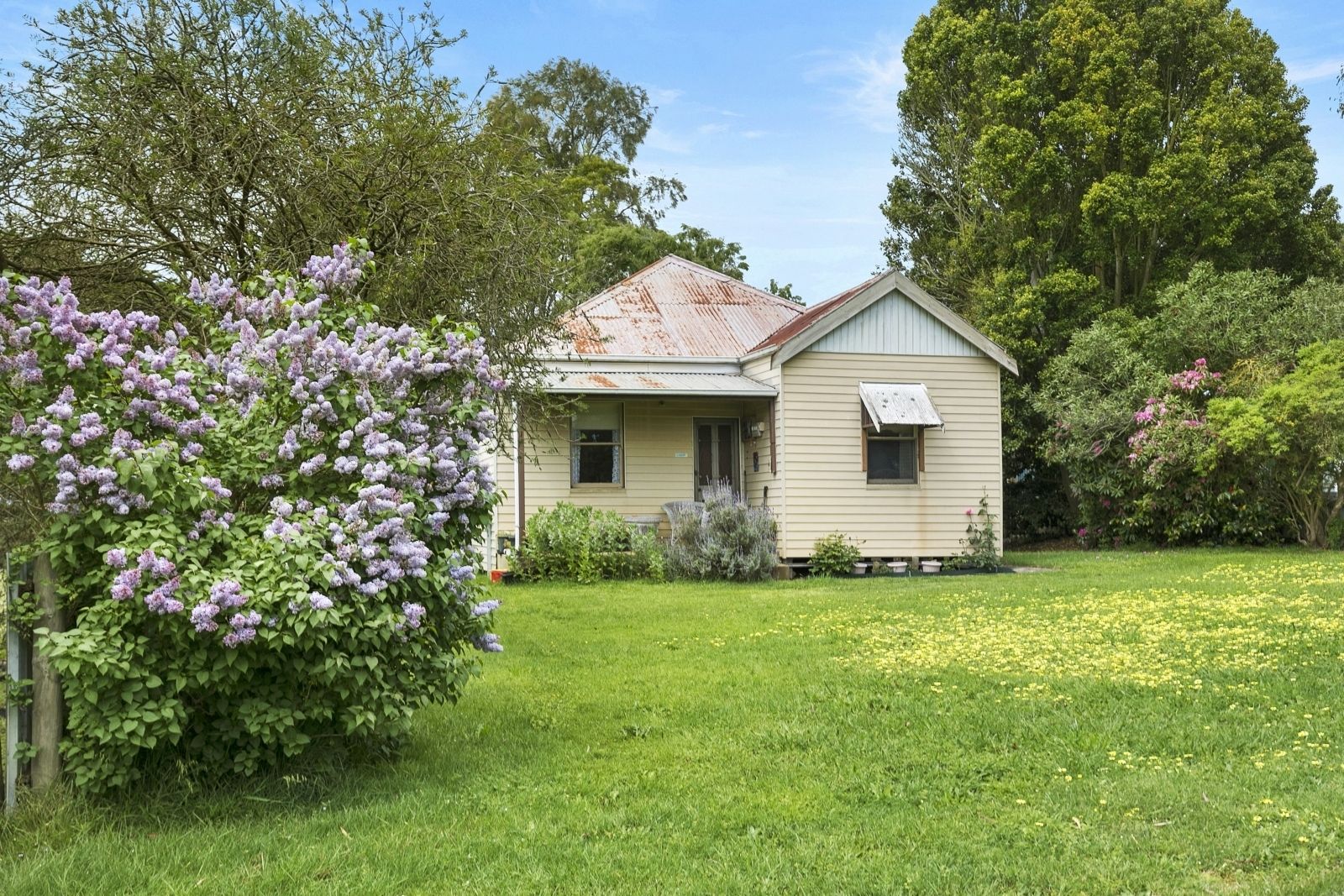 1125 Winchelsea - Deans Marsh Road, Bambra VIC 3241, Image 0