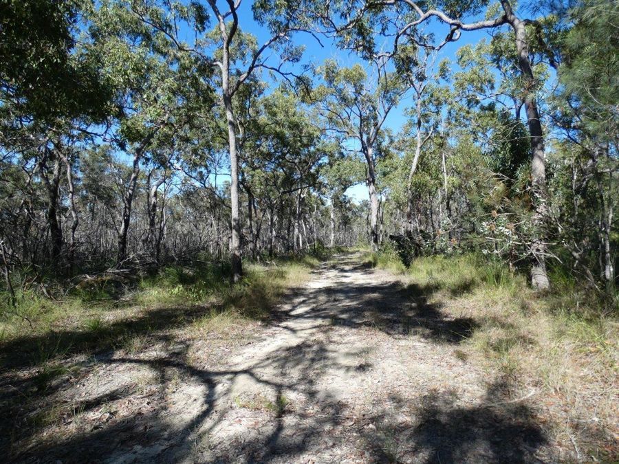 Lot 42 Pacific Drive, Deepwater QLD 4674, Image 0