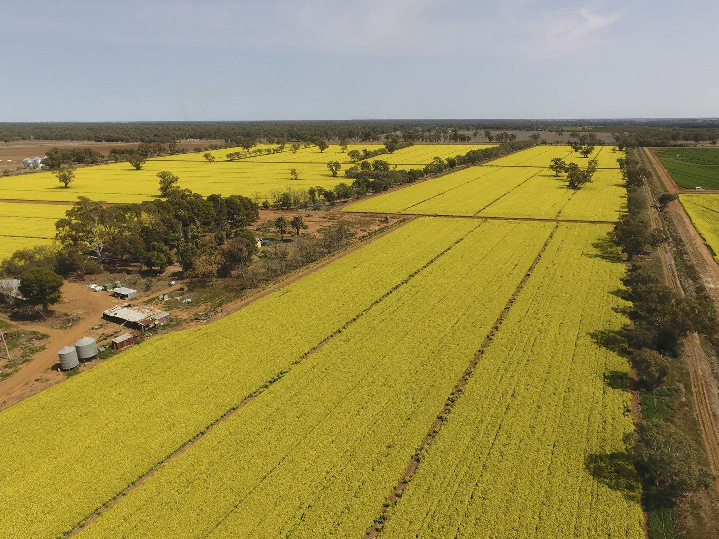 Irrigation Way, Yanco NSW 2703, Image 0