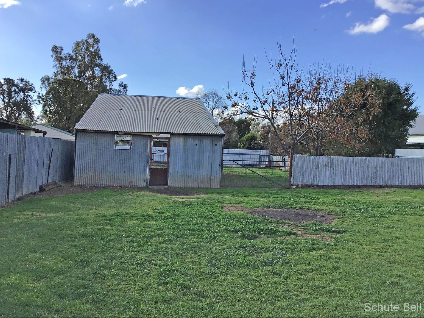 23 Ellengarah St, Narromine NSW 2821 House For Rent Domain
