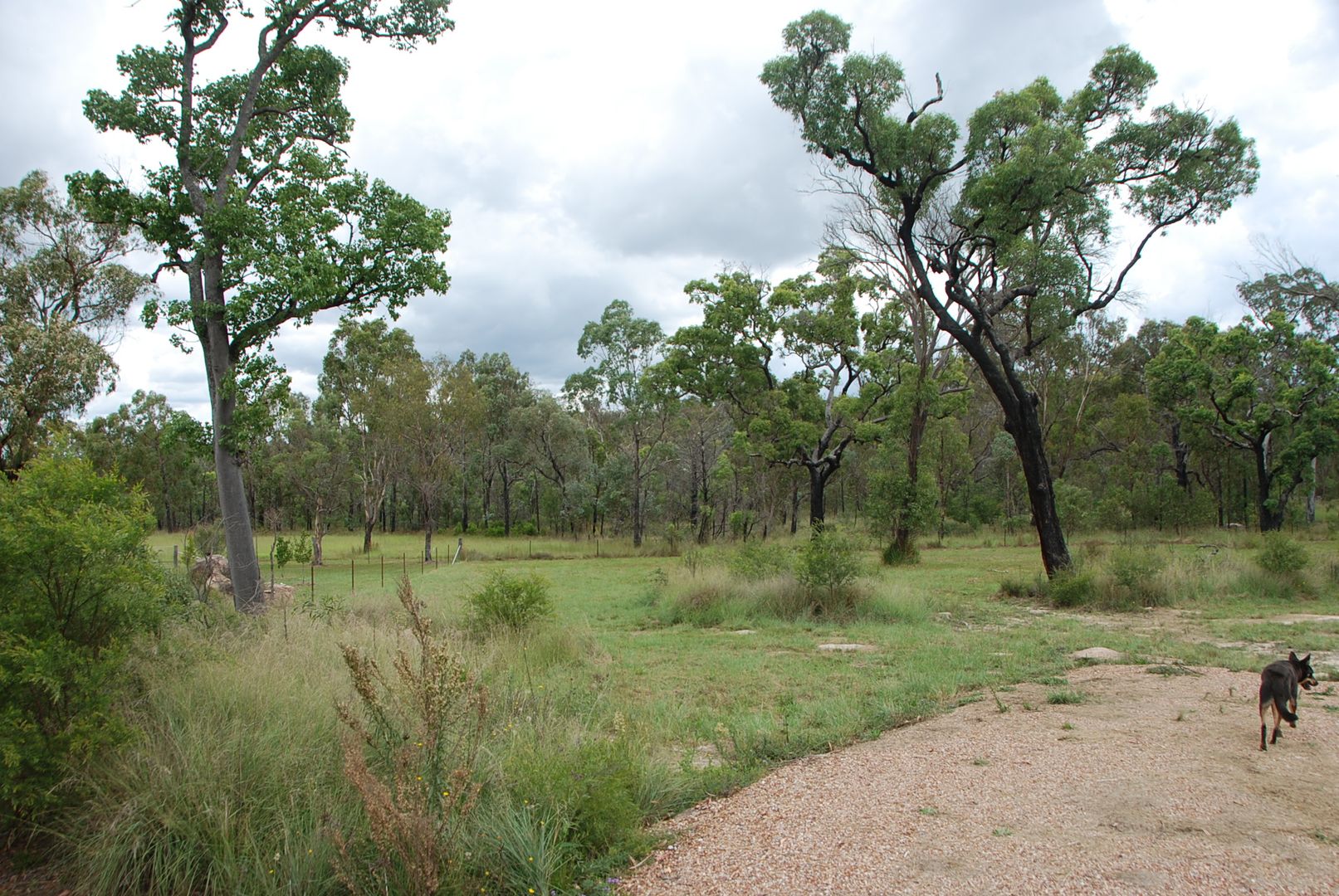 Lot 1/49 Old Caves Road, Stanthorpe QLD 4380, Image 2