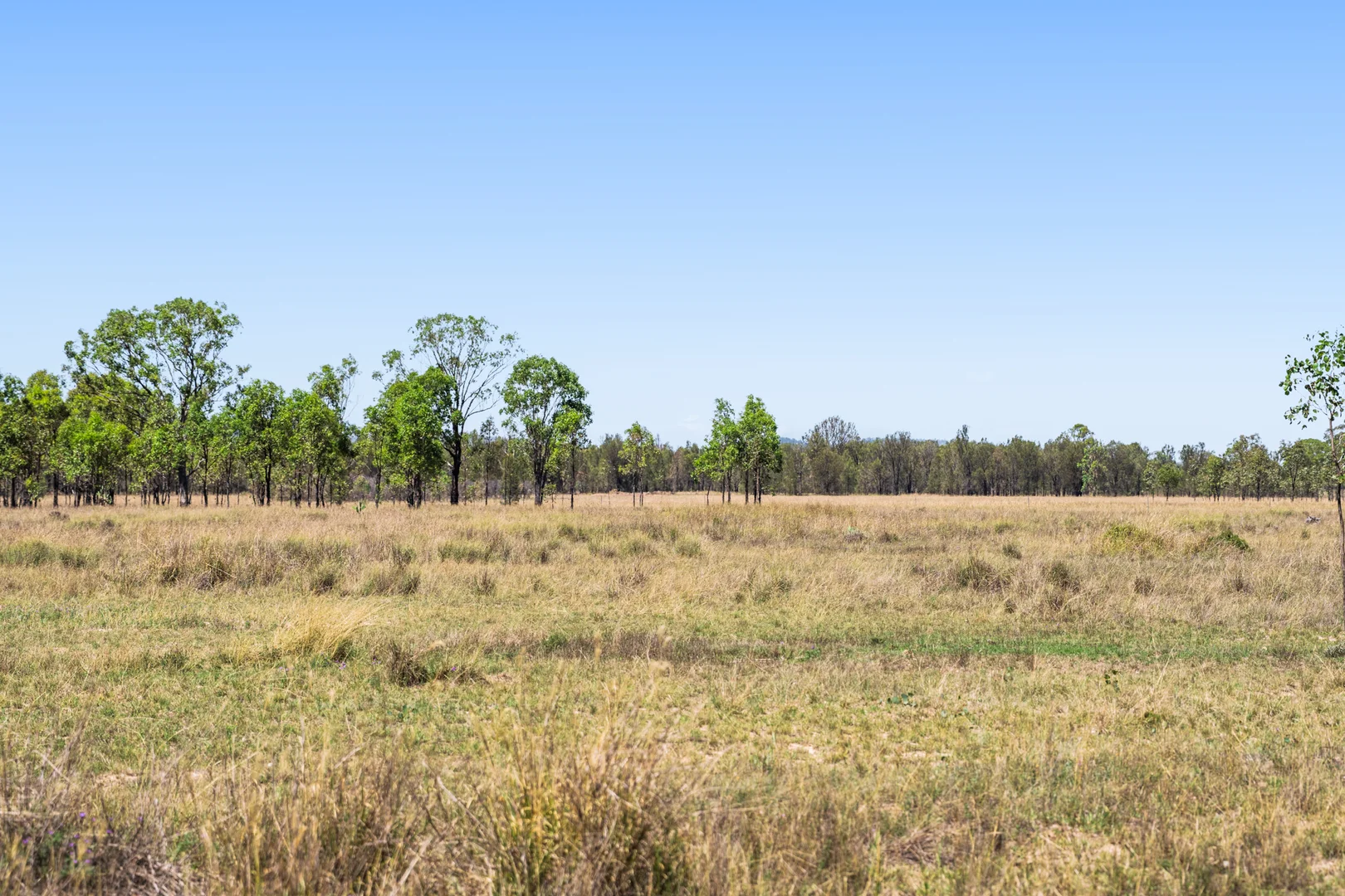 Additional image 21 of Lot 2 Sprints Drive, Leyburn QLD 4365