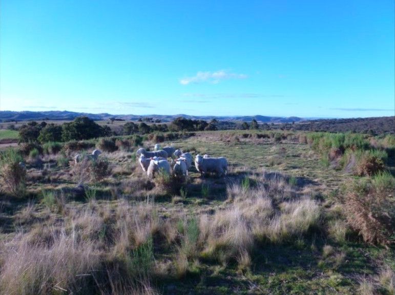 2 bedrooms Rural in 148 Maryvale Road RYE PARK NSW, 2586