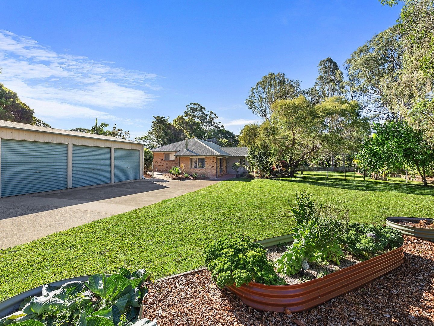 36 Lingard Street, Palmwoods QLD 4555, Image 2