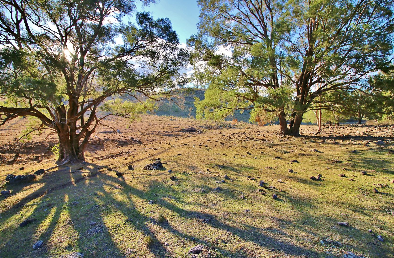 LOT 1 Bonnell Rd, Thornton QLD 4341, Image 1