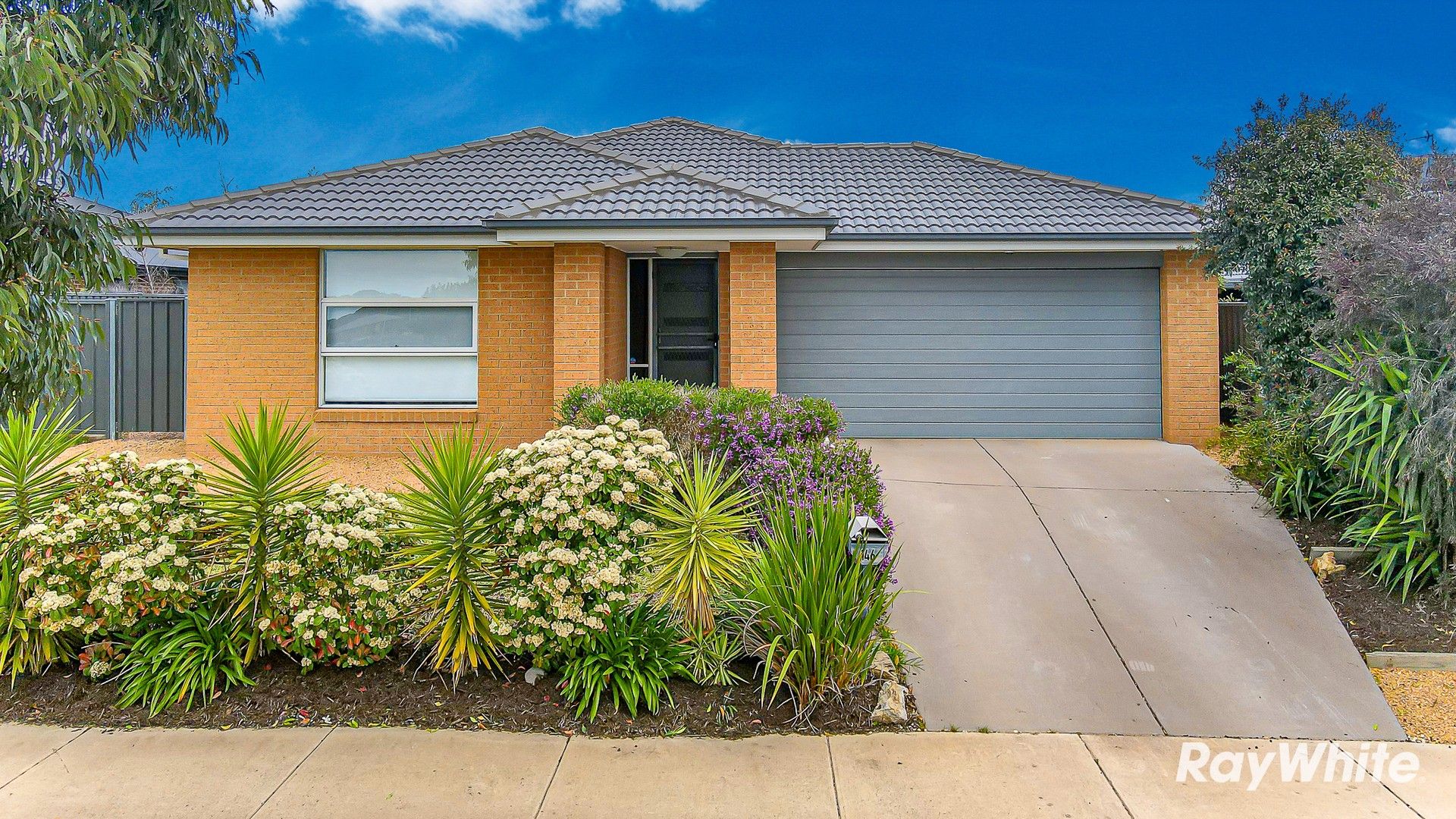 146 Sawmill Road, Huntly VIC 3551, Image 0