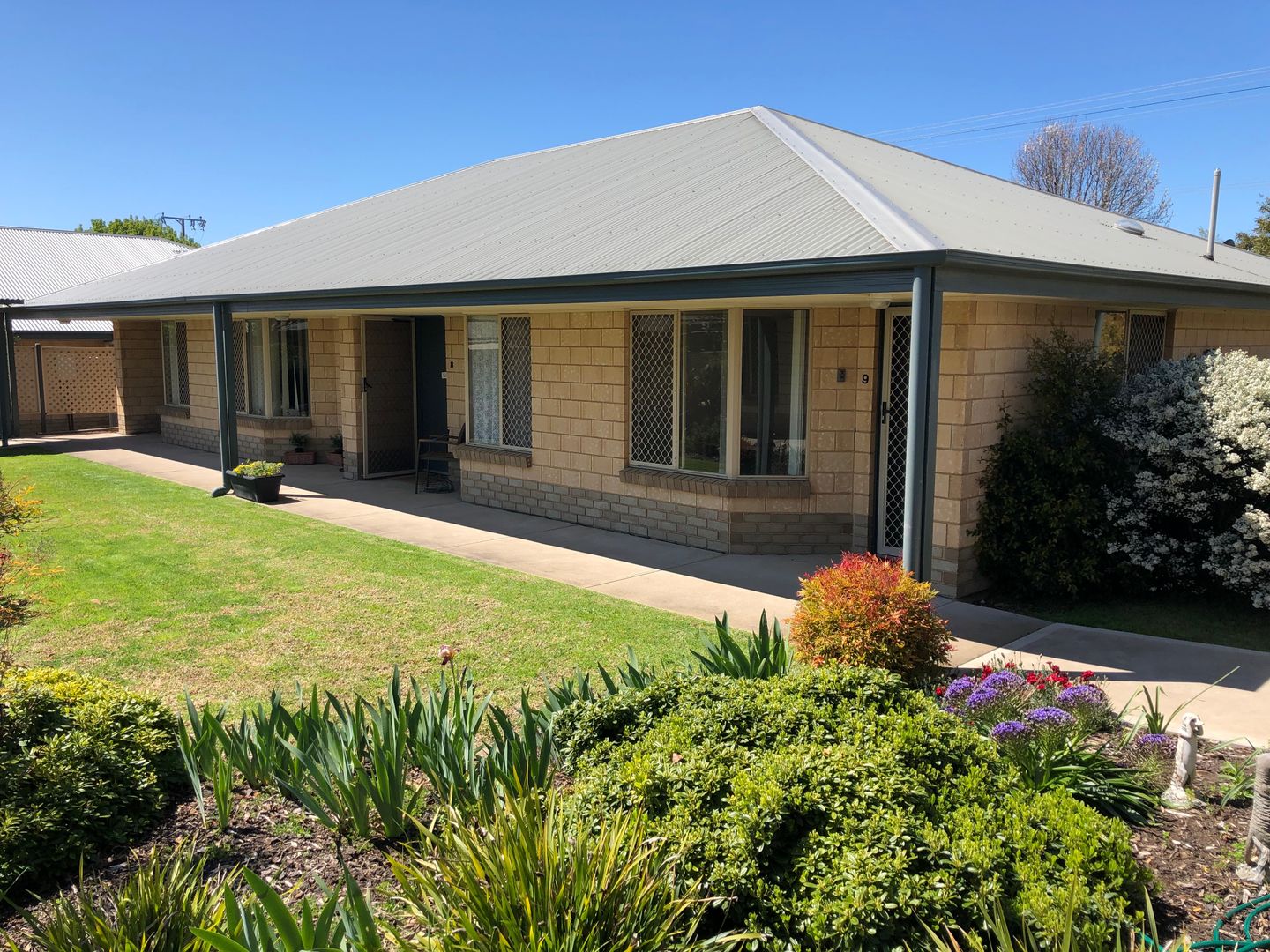 1 3 Gilmore Close Mount Gambier Sa 5290 Apartment For Rent 55 Domain