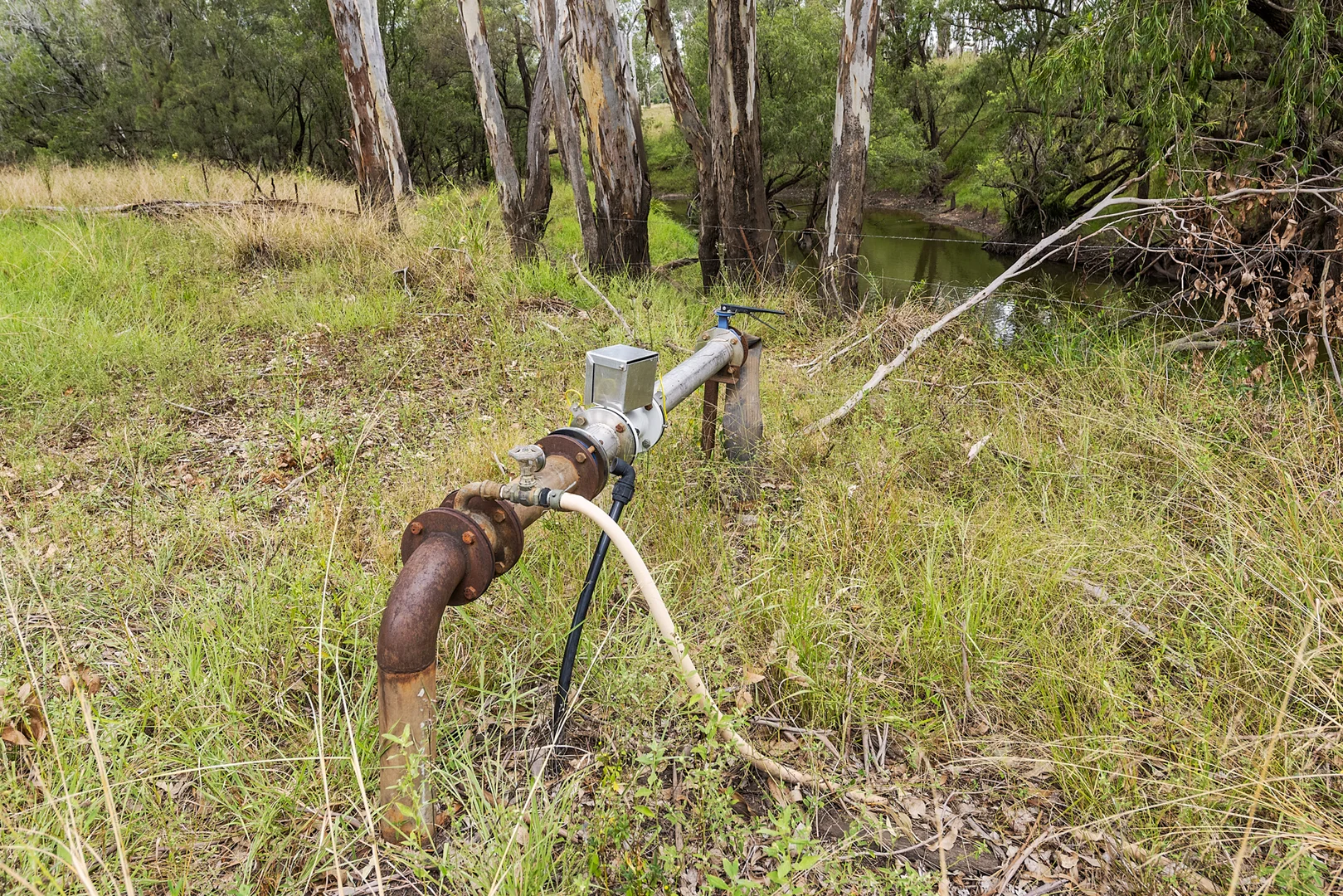 Image 12