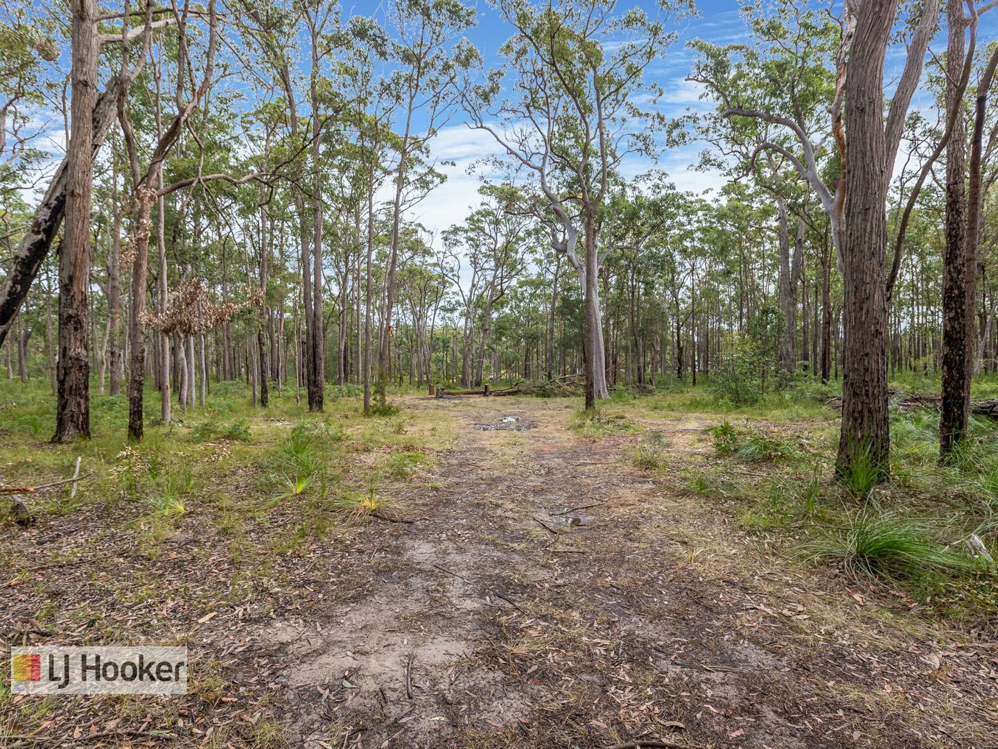 Lot 107 Wharf Road, The Branch NSW 2425, Image 1