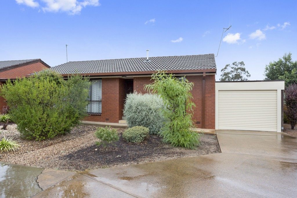 3/115 Bobs Street, White Hills VIC 3550, Image 1