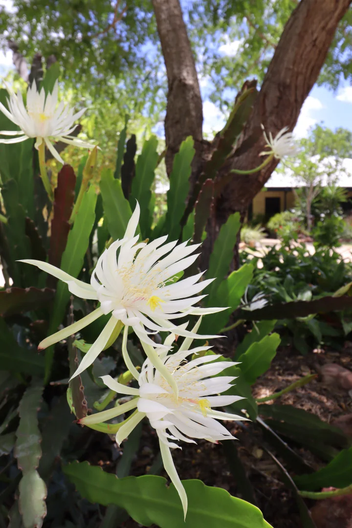 Additional image 17 of Splinter Creek QLD 4630