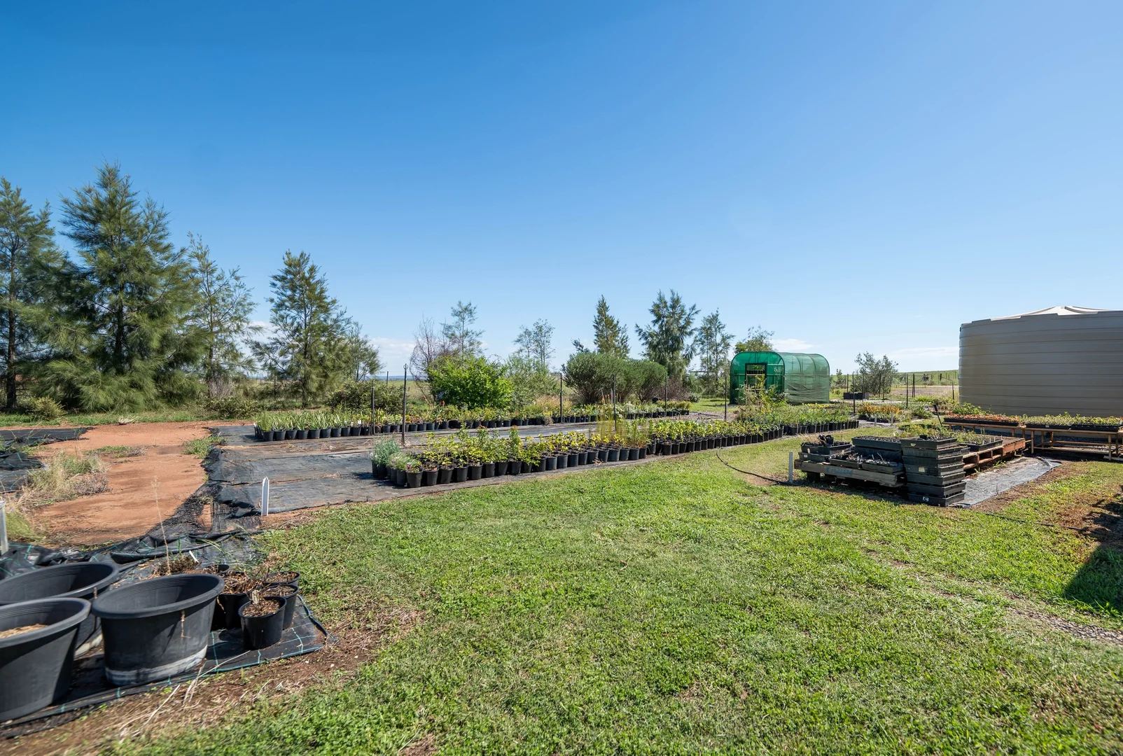 Additional image 31 of 63 Gunning Ridge Road, Forbes NSW 2871