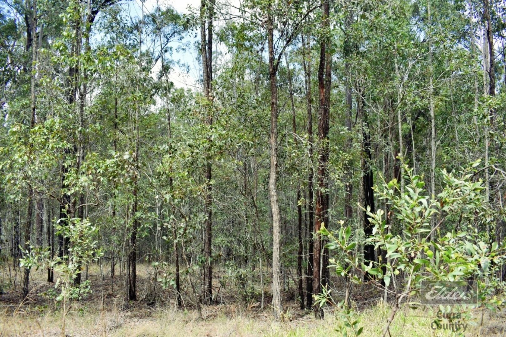 Lot 65 Brassington Road, Glenwood QLD 4570, Image 1