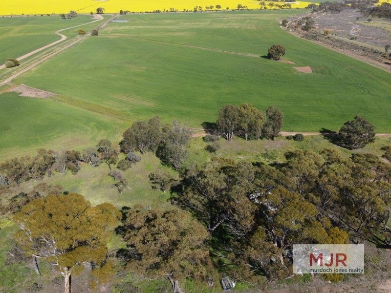 Lot 556 Quairading-York Road, Kauring WA 6302, Image 0