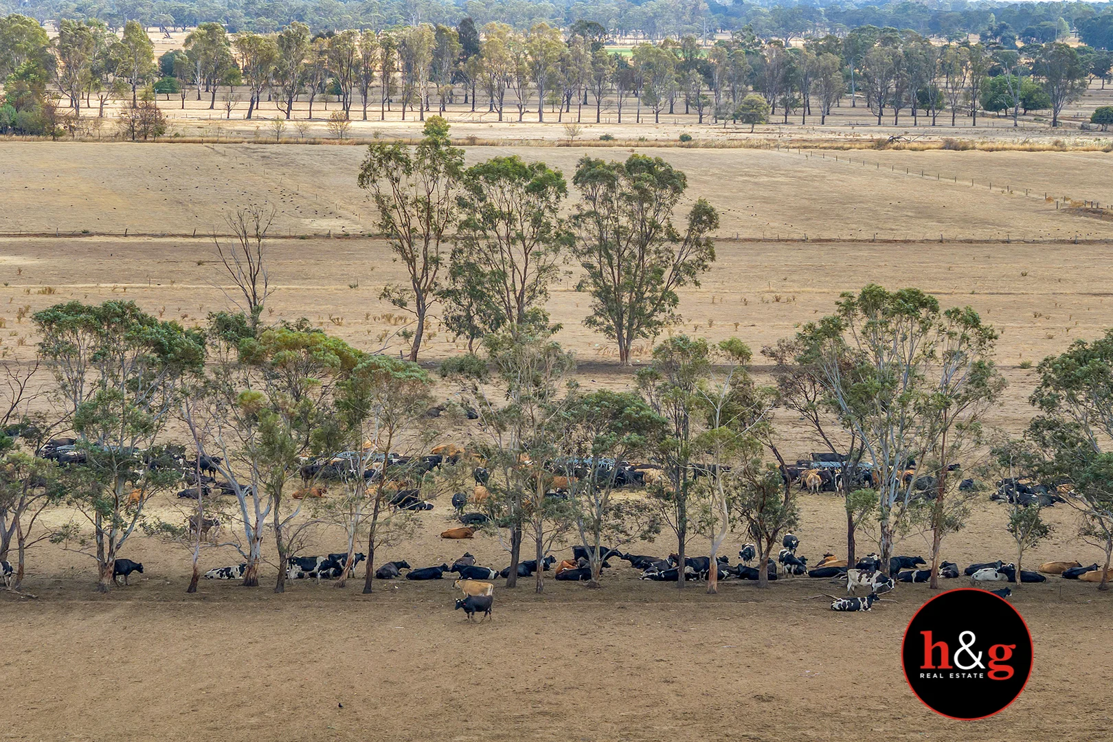 Additional image 20 of 269 Macgregor Road & 858 Mccoll Road, Kyabram VIC 3620