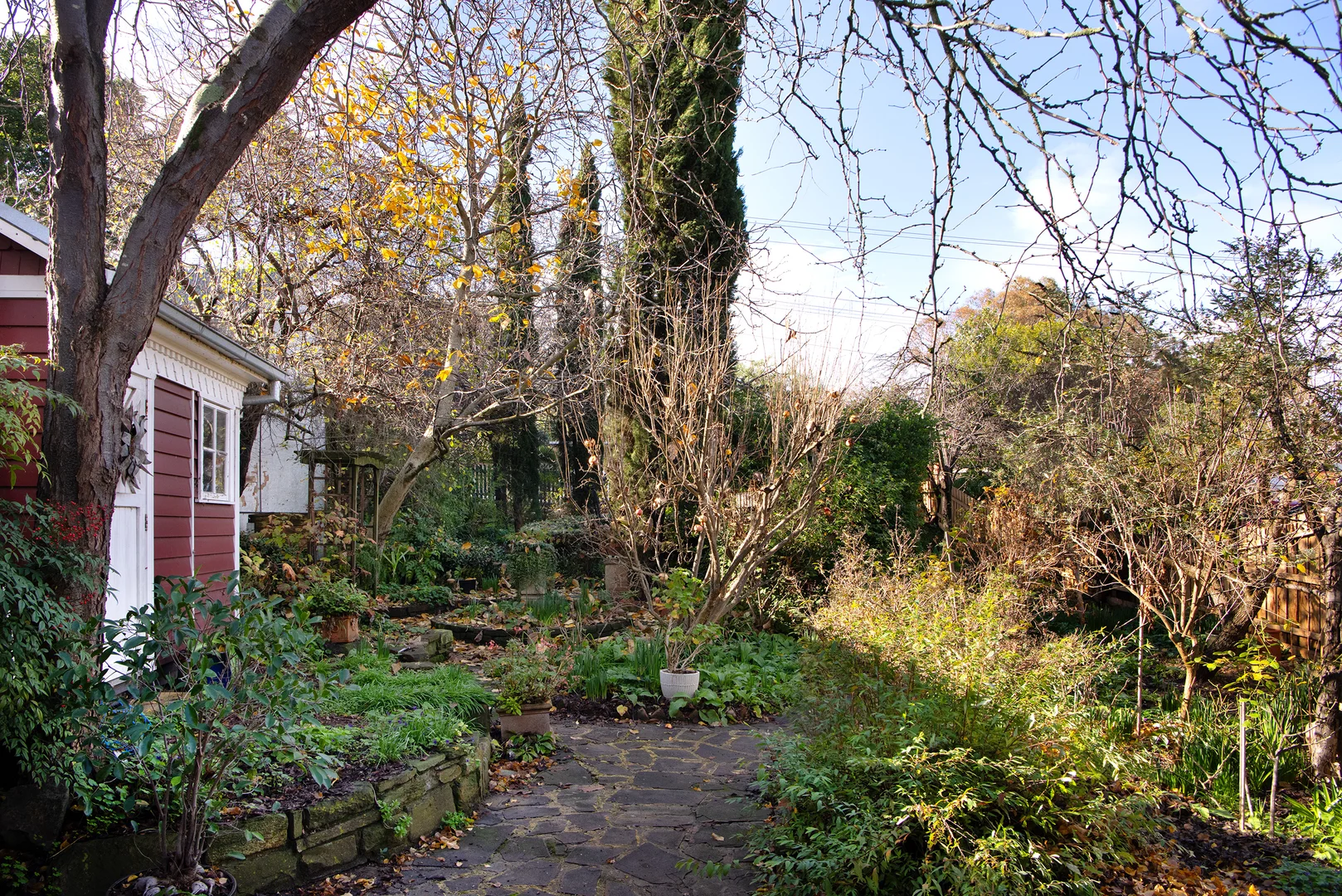 Image 15