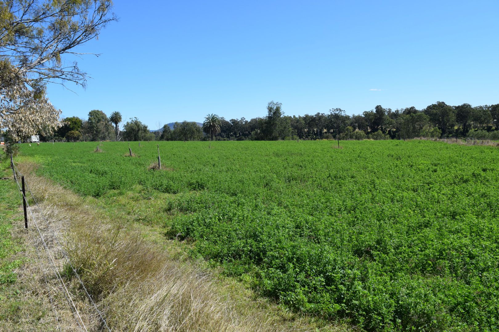 Lot 29/15820 Hwy, Gayndah QLD 4625 Vacant Land for Sale