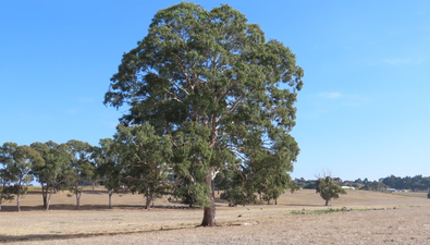 Picture of Lot 91 Old Caves Road, MOUNT LIGHT SA 5271